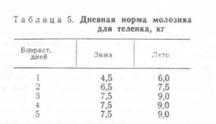 норма молозива норма молозива